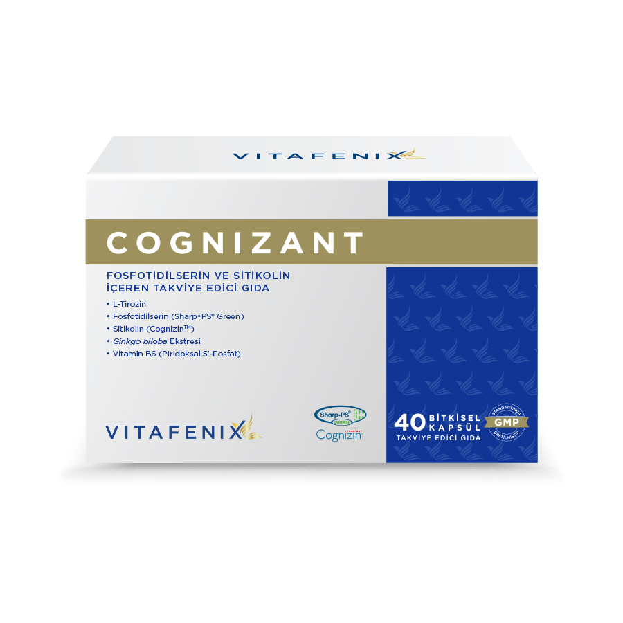 VFX COGNIZANT 40 KAPSUL