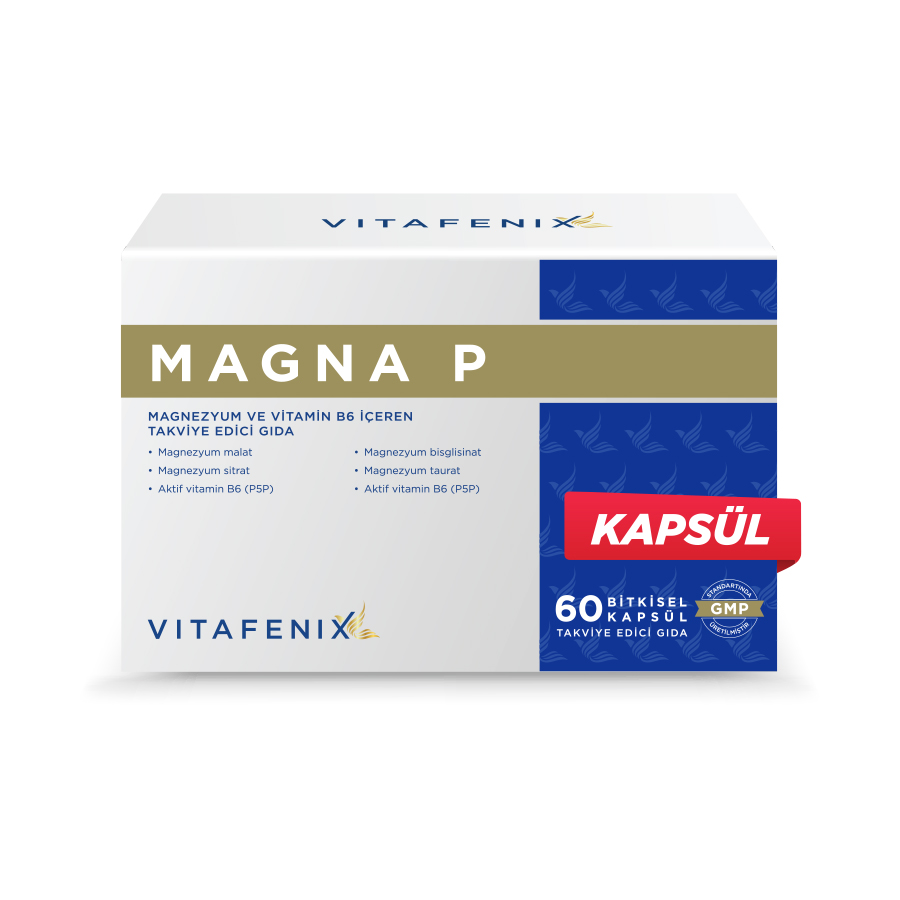 VFX MAGNA-P 60 KAPSUL